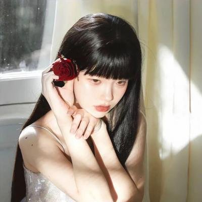 巡回检察组